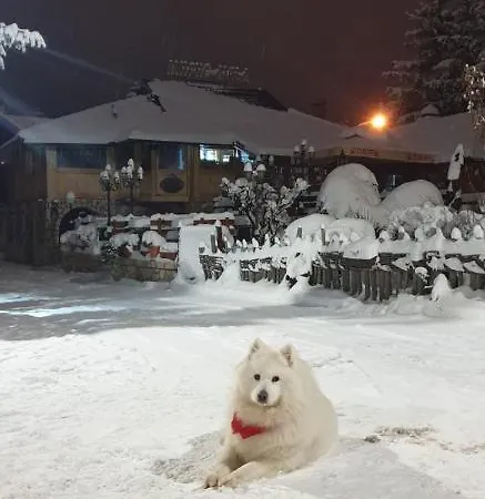 Apartament Ruza Vetrova, M2