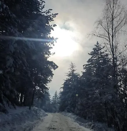 Ruza Vetrova, M2 Apartament Zlatibor