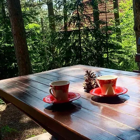 Ruza Vetrova, M2 Zlatibor